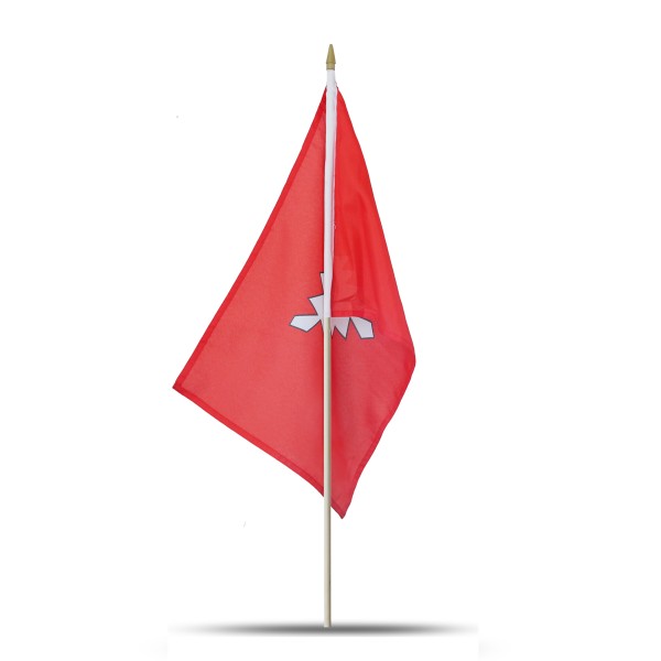 Sonia Originelli 10er Set Fahne Flagge Winkfahne "Kiel" Handfahne