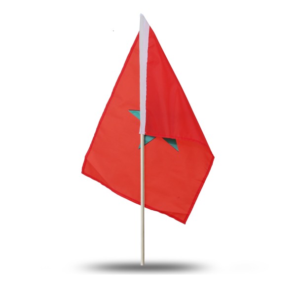 Sonia Originelli 10er Set Fahne Flagge Winkfahne "Marokko" Morocco Handfahne EM WM