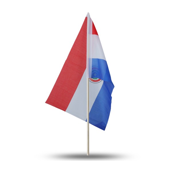 Sonia Originelli 10er Set Fahne Flagge Winkfahne "Paraguay" Handfahne EM WM