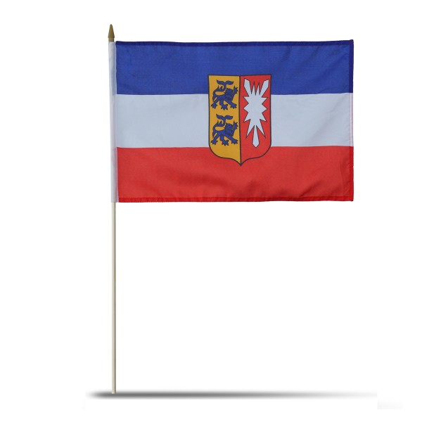 Sonia Originelli 10er Set Fahne Flagge Winkfahne "Schleswig-Holstein" Handfahne EM WM
