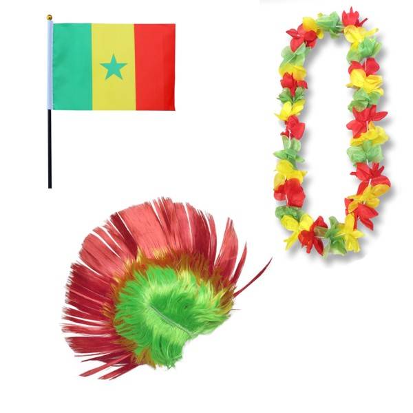 Sonia Originelli Fanset "Senegal" Blumenkette Fahne Flagge Perücke Irokese