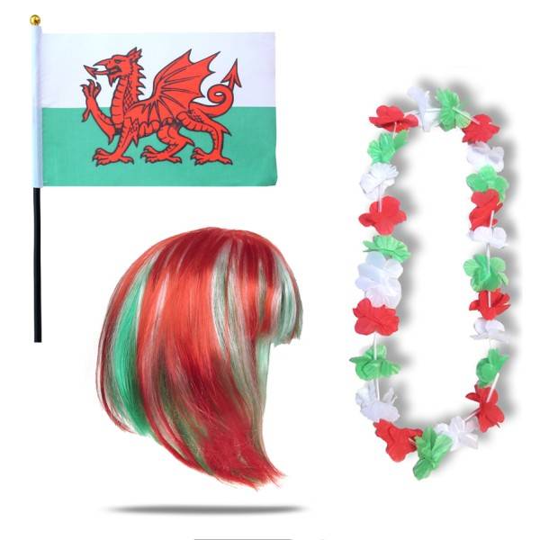 Sonia Originelli Fanset "Wales" Blumenkette Fahne Flagge Perücke Bob