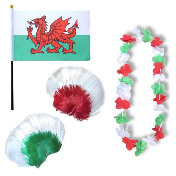 Sonia Originelli Fanset "Wales" Blumenkette Fahne Flagge Perücke Irokese
