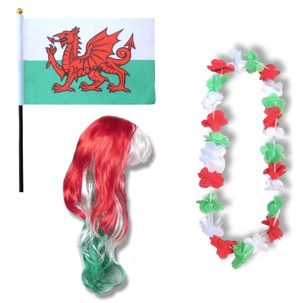 Sonia Originelli Fanset "Wales" Blumenkette Fahne Flagge Perücke Langhaar-Locken
