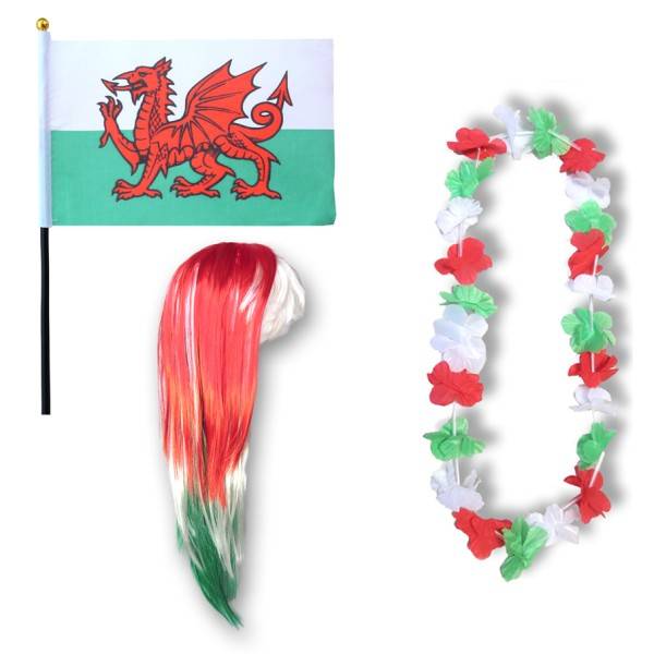 Sonia Originelli Fanset "Wales" Blumenkette Fahne Flagge Perücke Langhaar