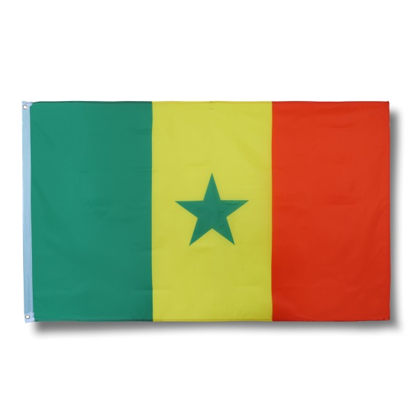 Sonia Originelli Senegal Fahne Flagge 90 x 150 cm Fanartikel Hissfahne Ösen WM EM