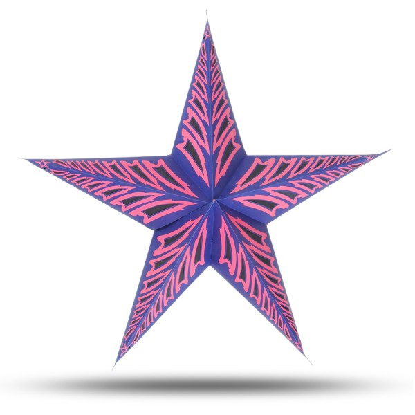 Sonia Originelli Weihnachtsstern 60cm Papier-Stern Weihnachtsdeko