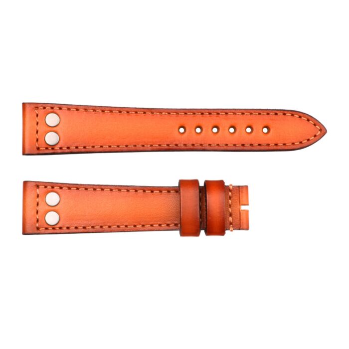 Steinhart Lederband cognac mit Nieten Größe S