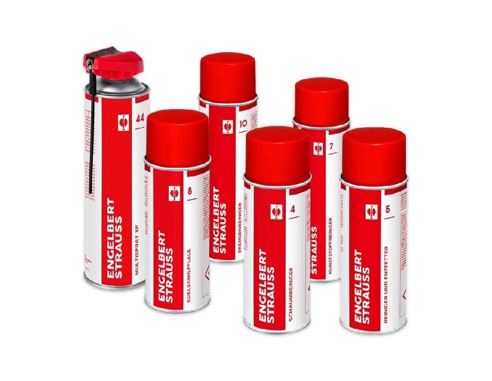 Strauss Aktion: Reiniger- Und Pflege Sprays 6-teilig