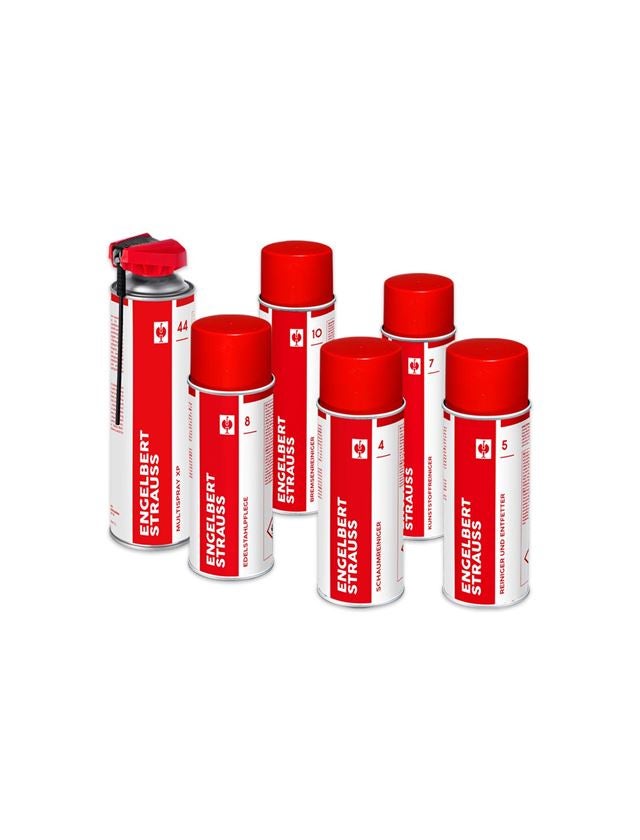 Strauss Aktion: Reiniger- Und Pflege Sprays 6-teilig