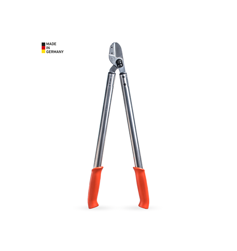 Strauss Amboss-Astschere Löwe 20