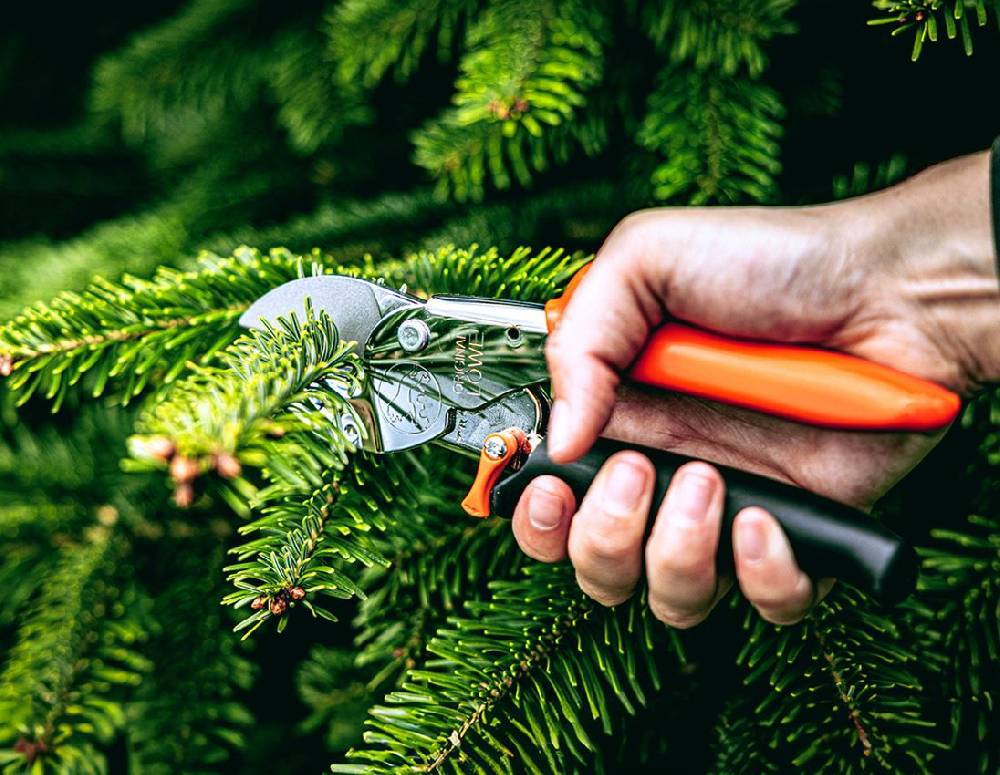 Strauss Amboss-Schere Löwe 1, mit Rollgriff