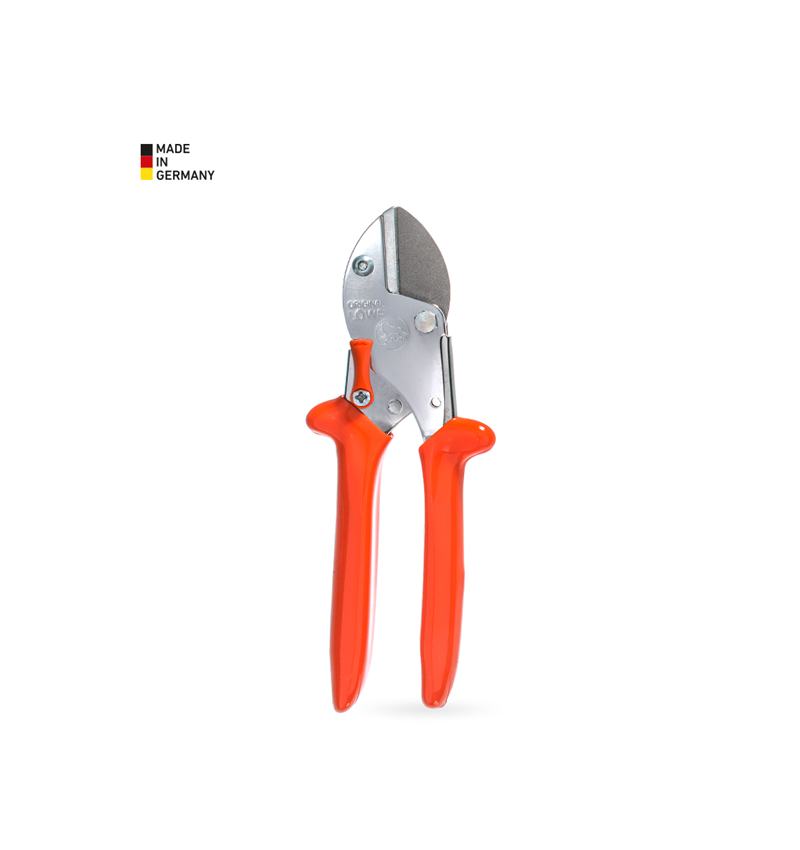 Strauss Amboss-Schere Löwe 5, Klein