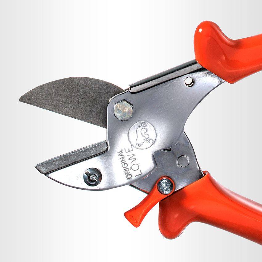 Strauss Amboss-Schere Löwe 5, Klein