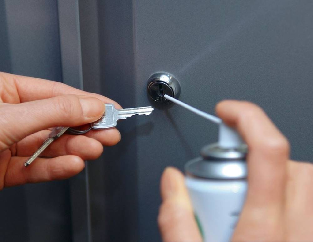 Strauss Ballistol Spray