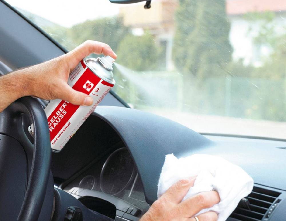 Strauss Cockpit-Spray #3