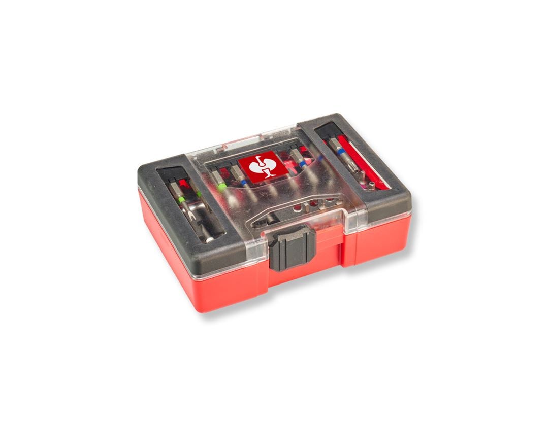 Strauss e.s. Bit-Box Color Security