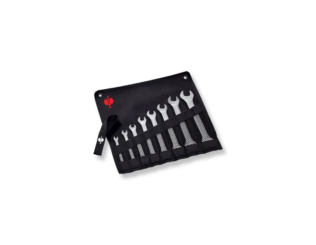 Strauss e.s. Doppelmaulschlüssel-Satz