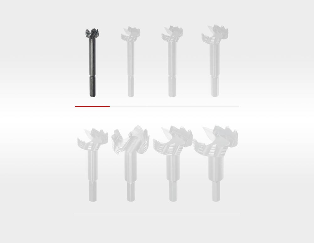 Strauss e.s. Forstnerbohrer ultimate