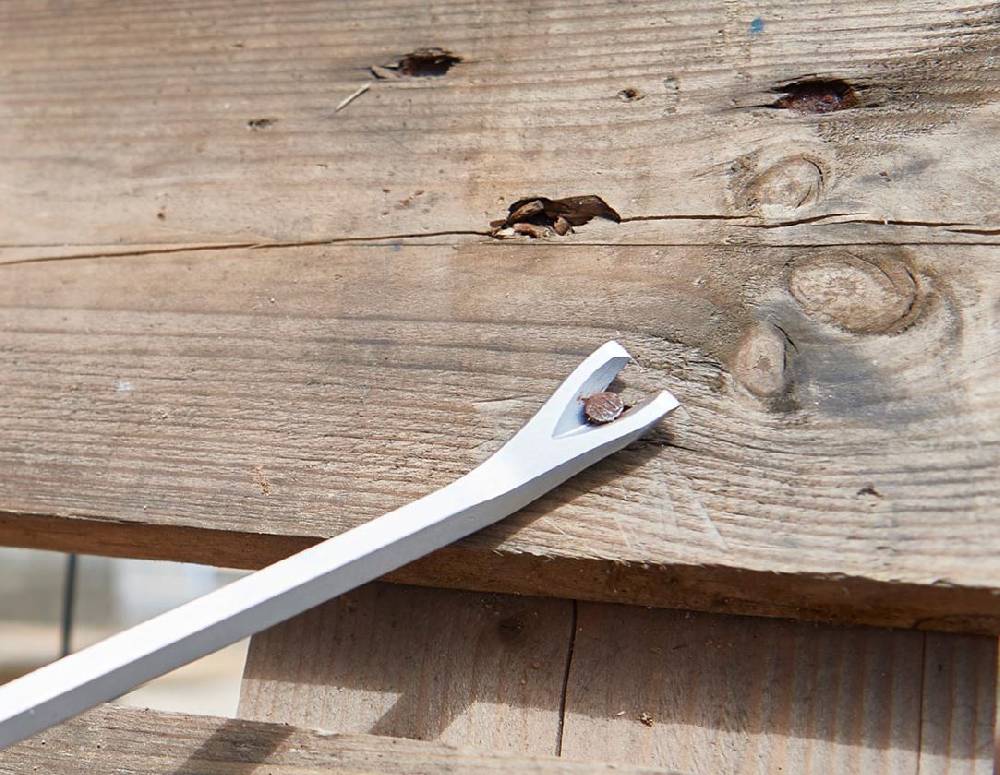 Strauss e.s. Kraft-Nagelheber scalpro