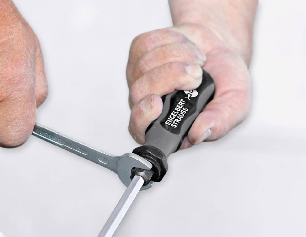 Strauss e.s. Kraft-Schraubendreher-Satz scalpro