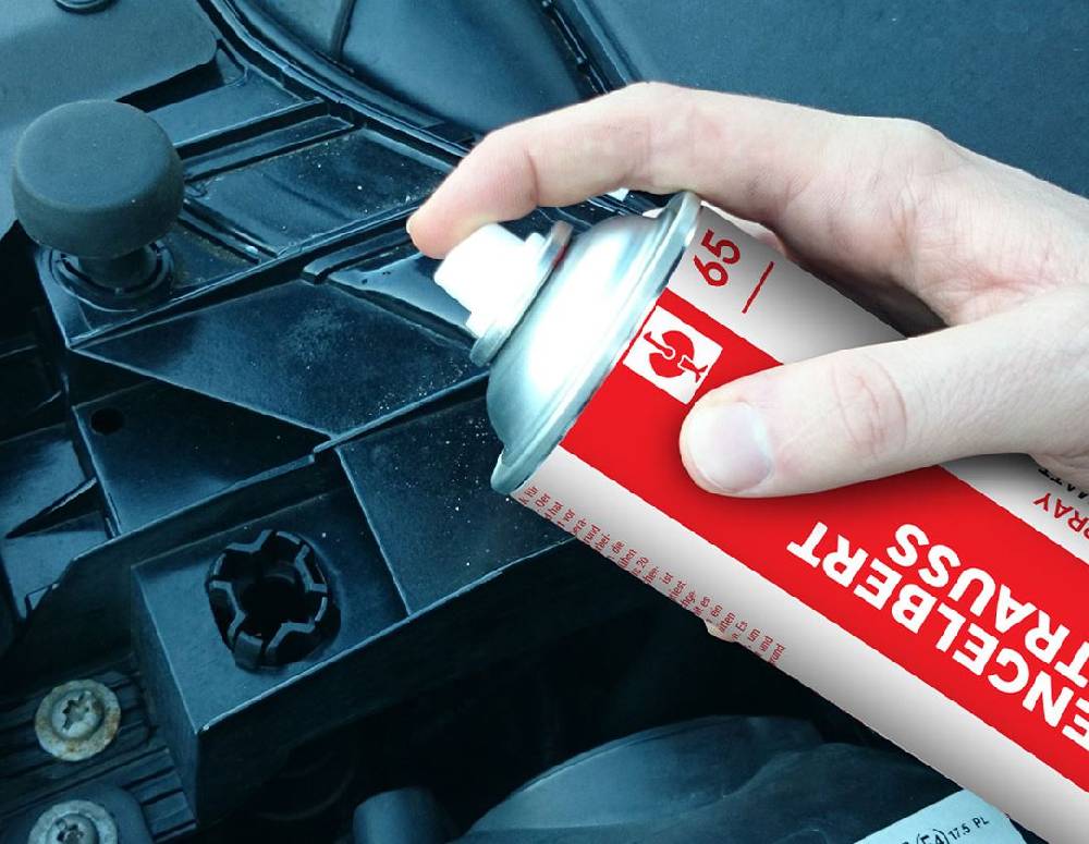 Strauss e.s. Lackspray #65