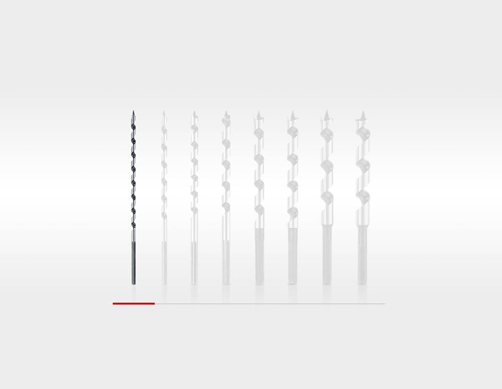 Strauss e.s. Lewis-Schlangenbohrer