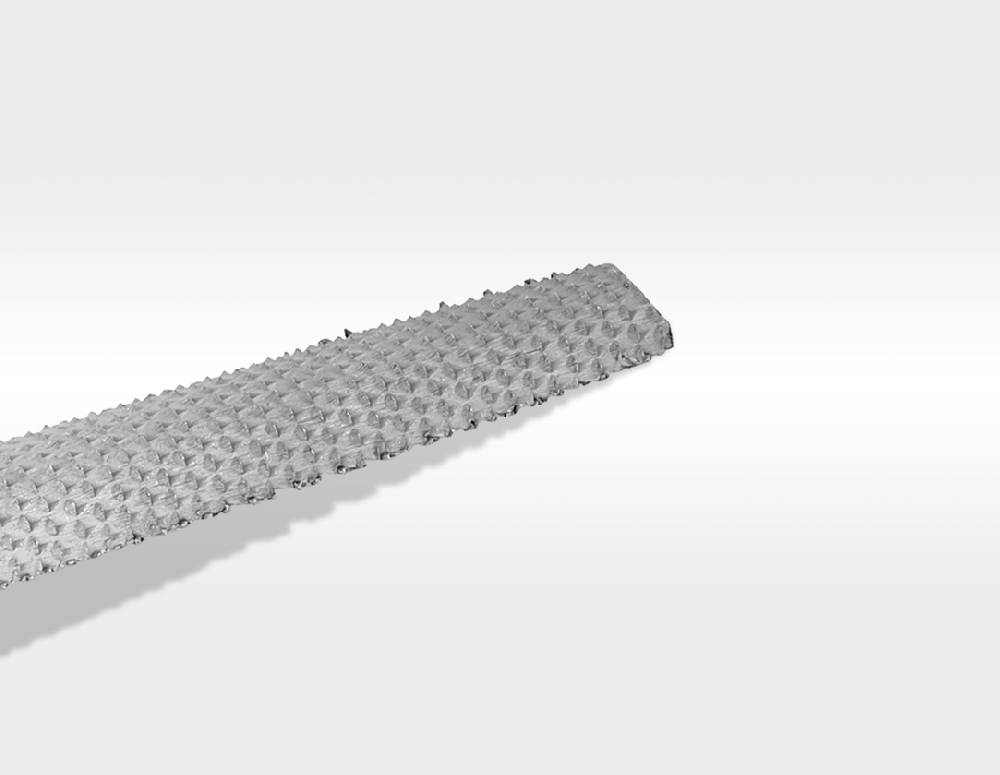 Strauss e.s. Raspel halbrund Hieb 2