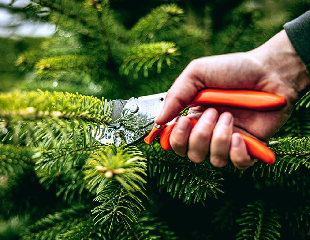 Strauss Ersatzteile-Set für Löwe