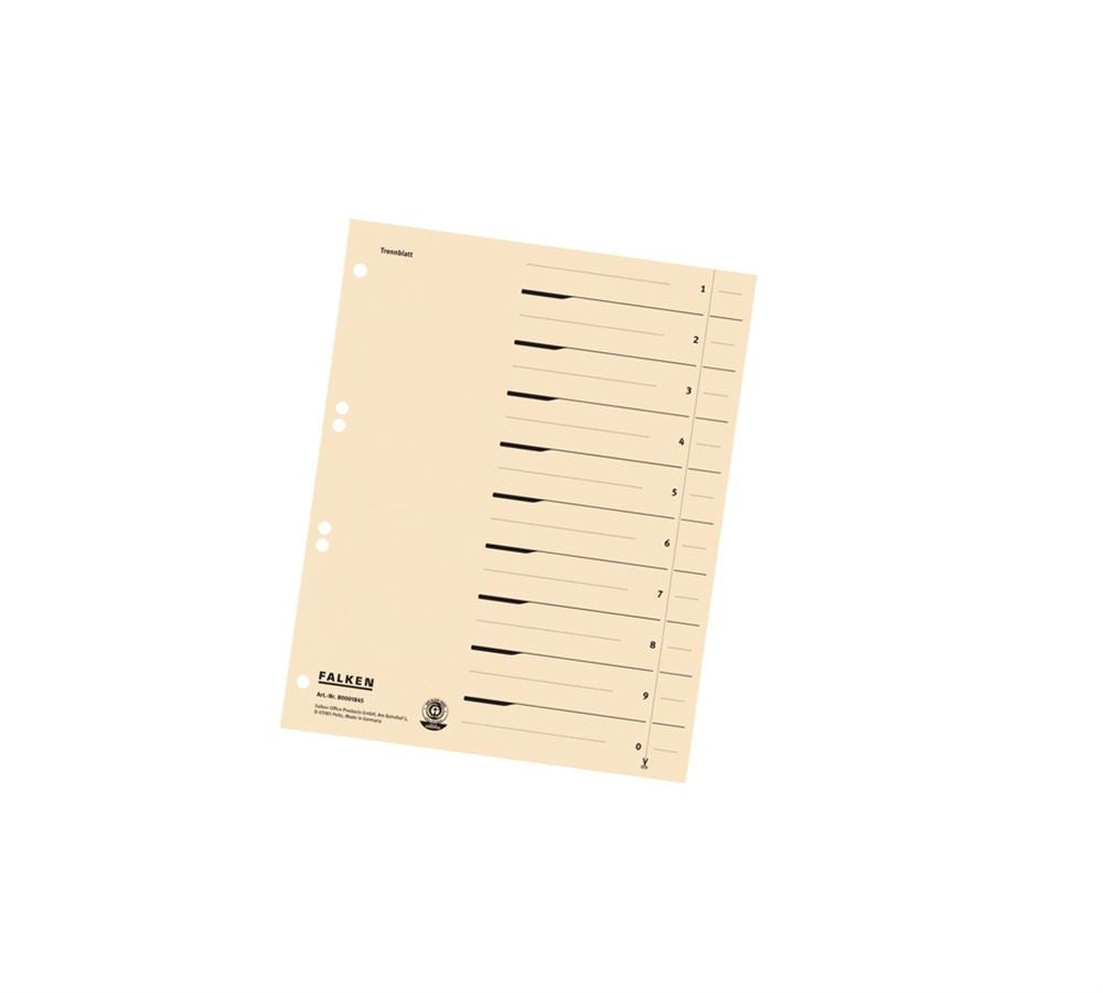 Strauss Falken Trennblätter