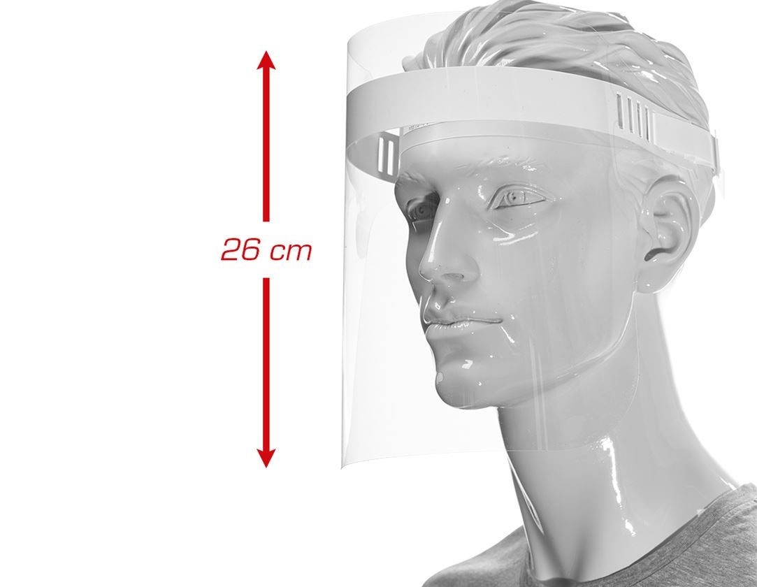 Strauss Gesichtsvisier