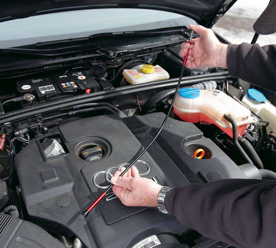 Strauss Krallengreifer mit Magnet