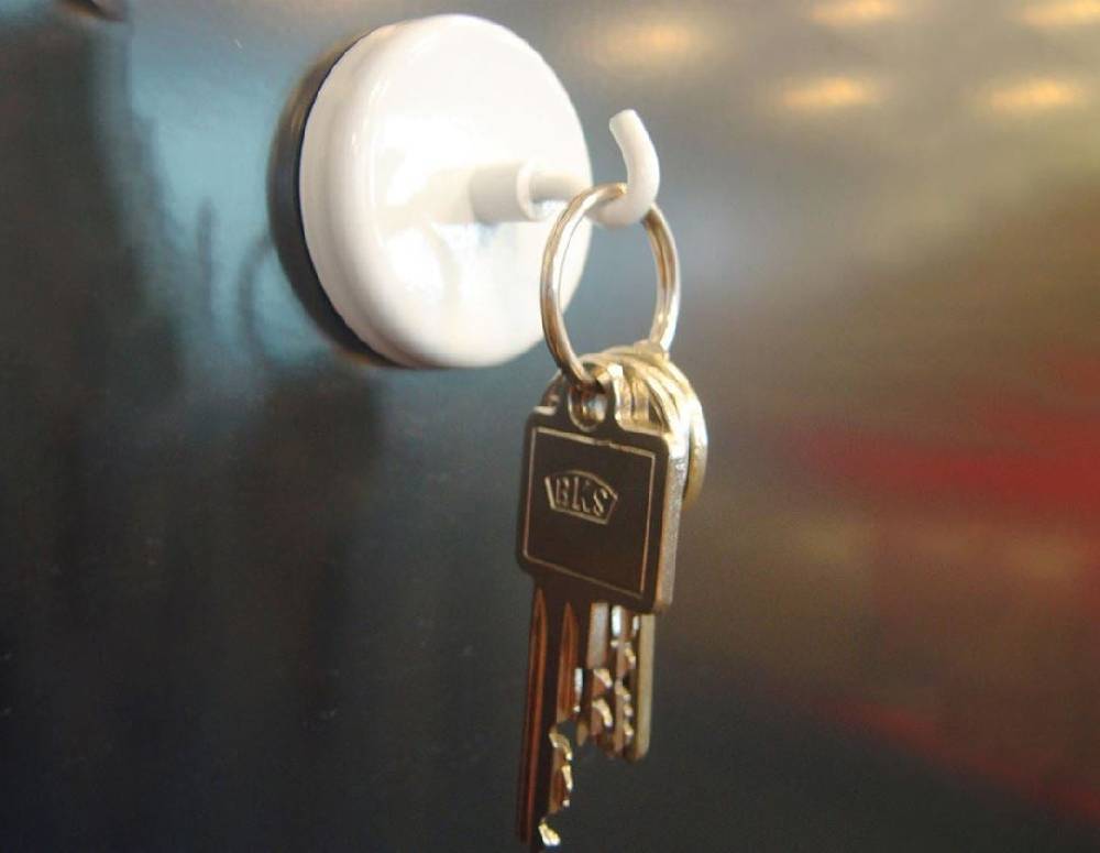 Strauss MAUL Kraftmagnet mit Haken