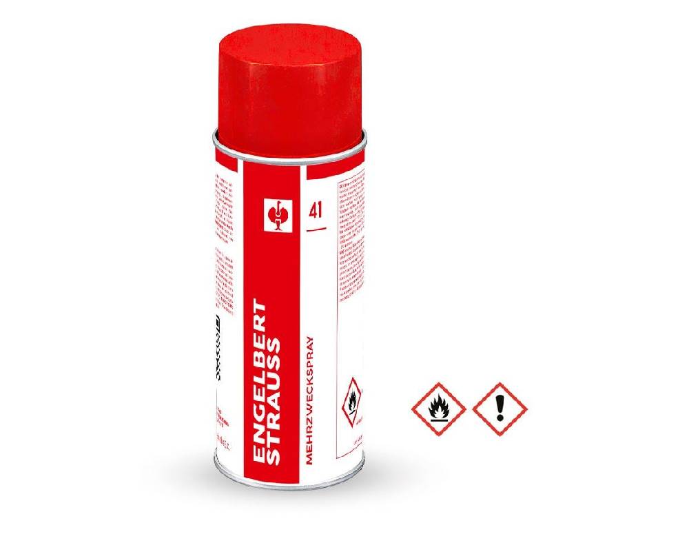 Strauss Mehrzweckspray #41