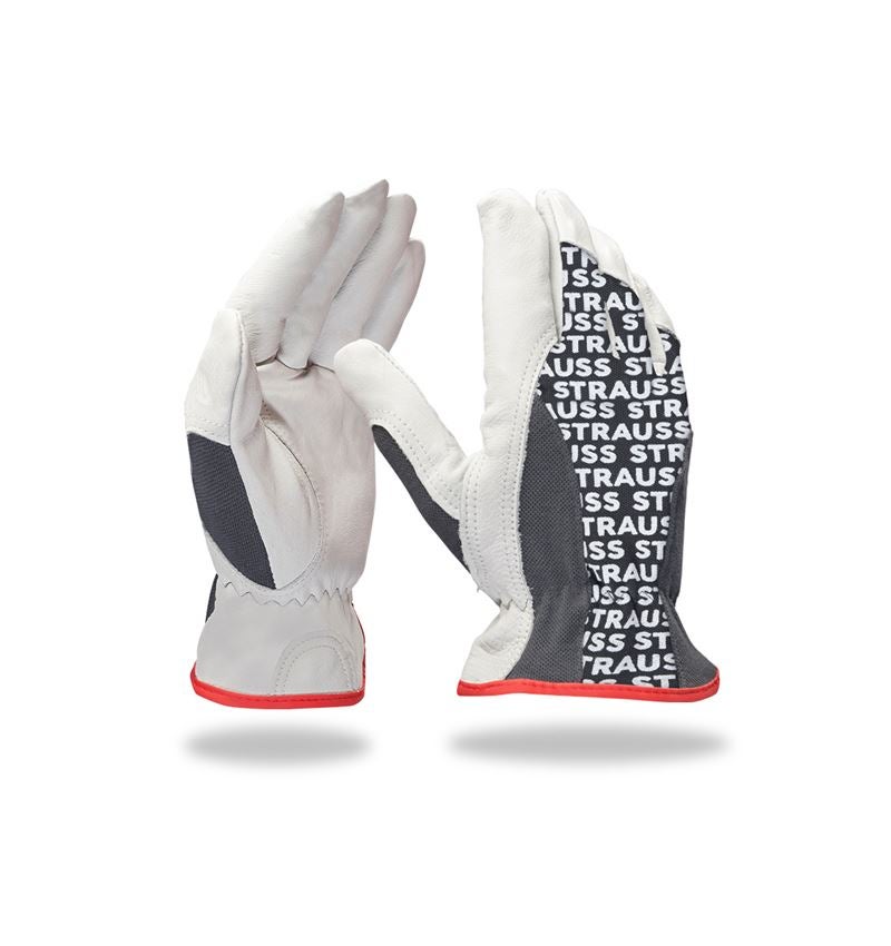 Strauss Nappaleder-Fahrer-Handschuhe Driver Profi