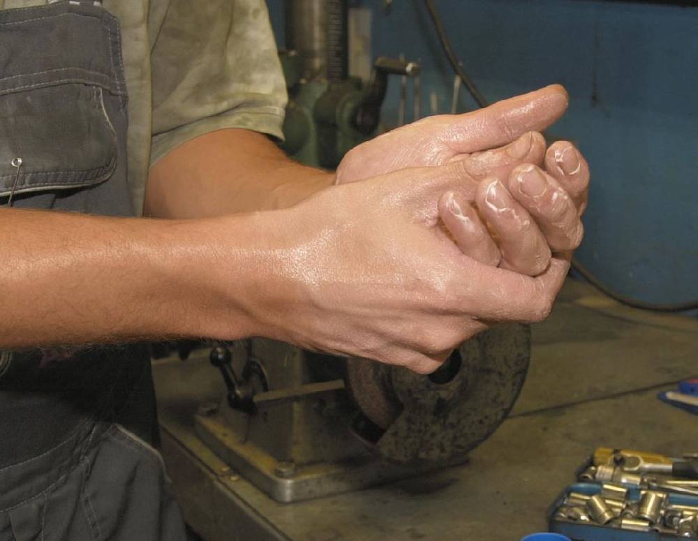 Strauss Schutzsalbe LORDIN® Multiprotect