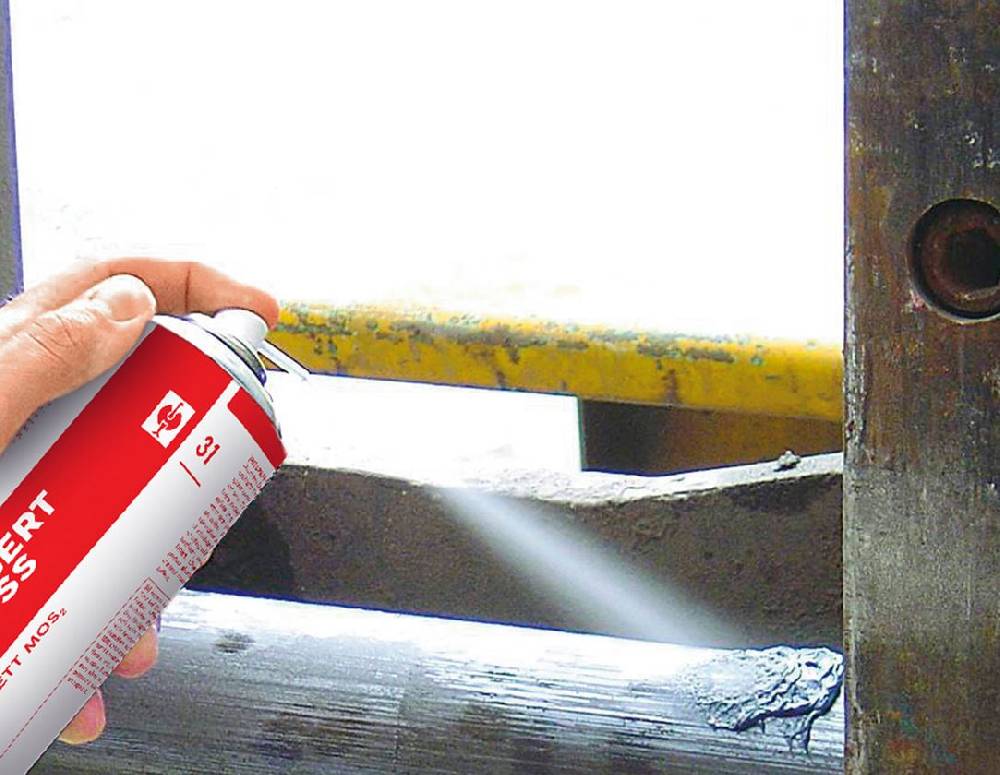 Strauss Sprühfett MoS2 #31