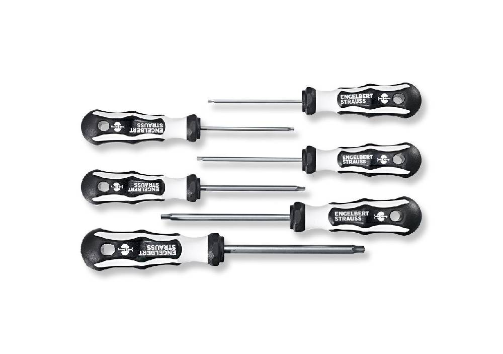Strauss TX-Schraubendreher-Satz Edelstahl