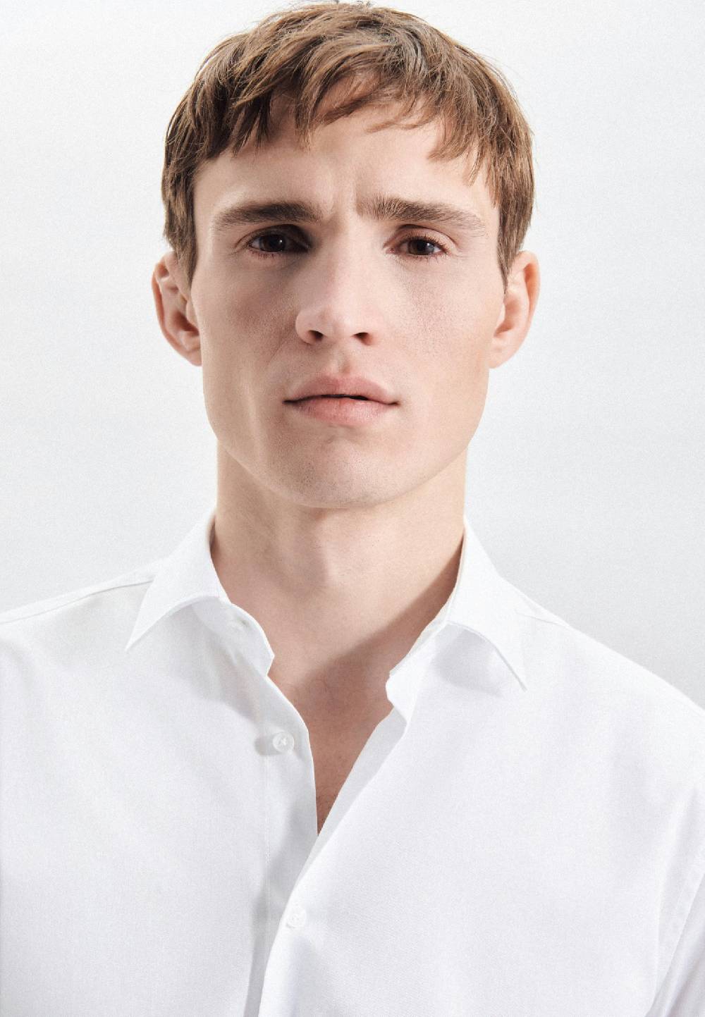 Studio Seidensticker Bügelfreies Twill Business Hemd In Regular Mit Kentkragen