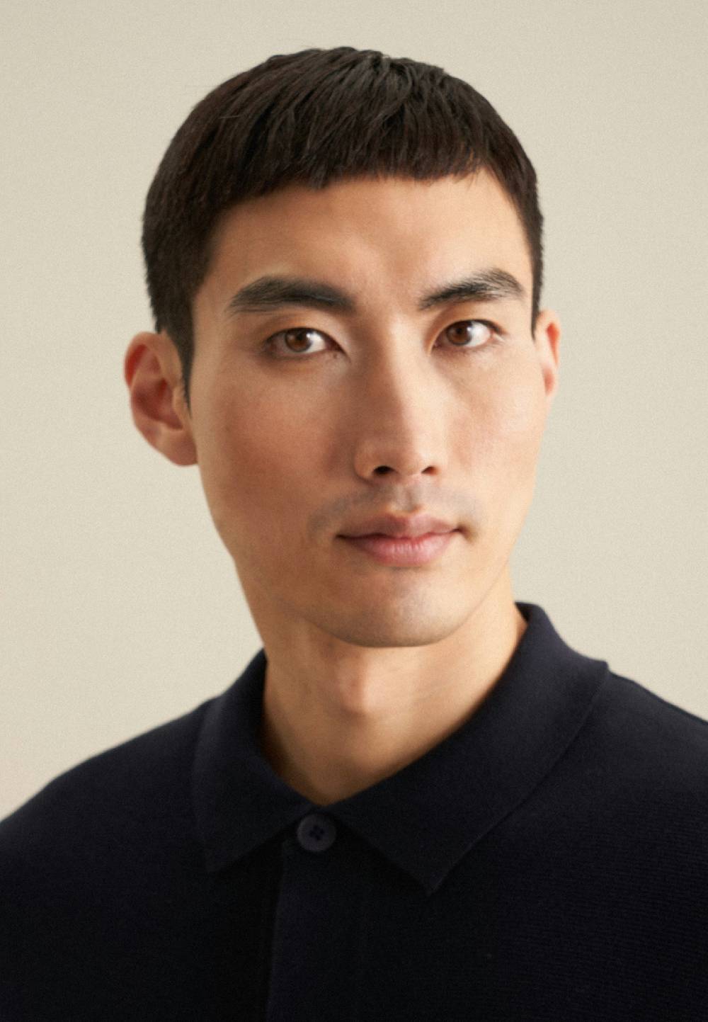 Studio Seidensticker Kragen Strick-Jacke Regular 100% Baumwolle