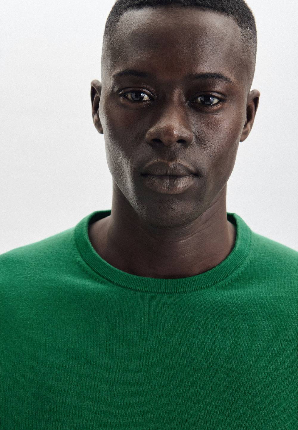 Studio Seidensticker Rundhals Pullover Gerader Schnitt (Normal-Fit)