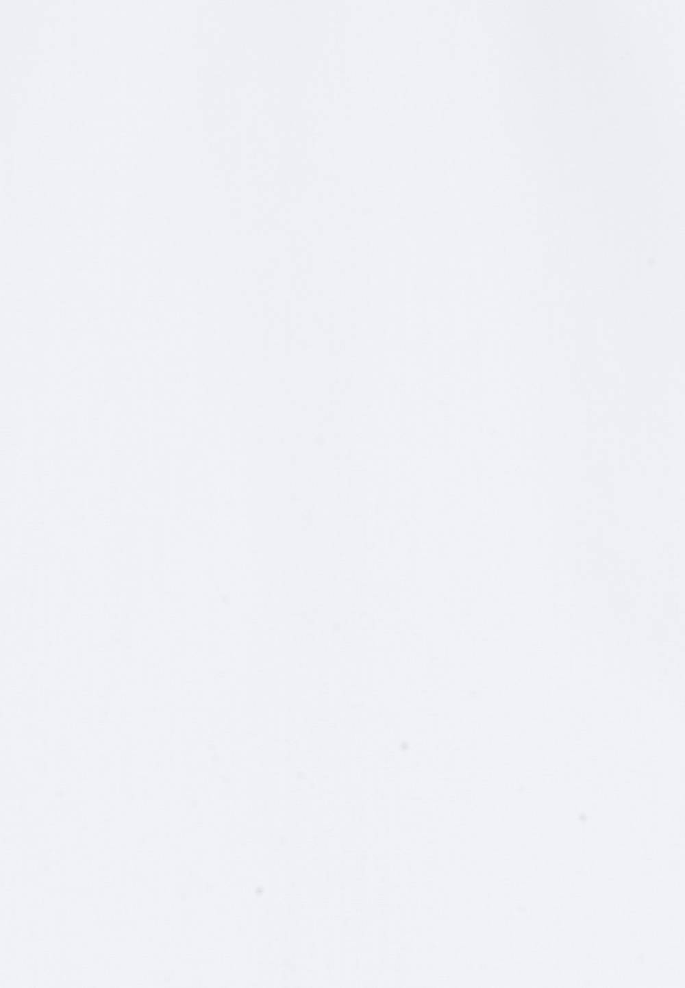 Studio Seidensticker Bügelfreie Popeline Hemdbluse