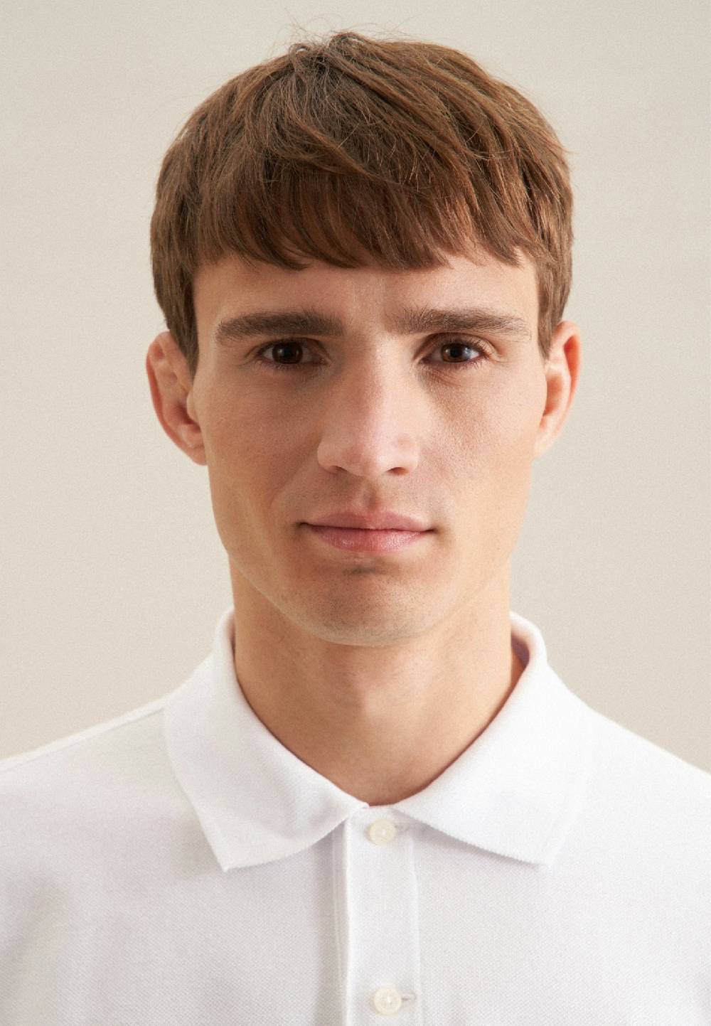 Studio Seidensticker Kragen Polo Regular