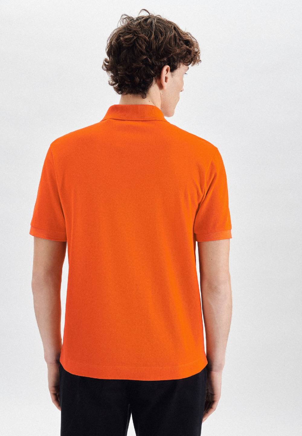 Studio Seidensticker Kragen Polo Regular