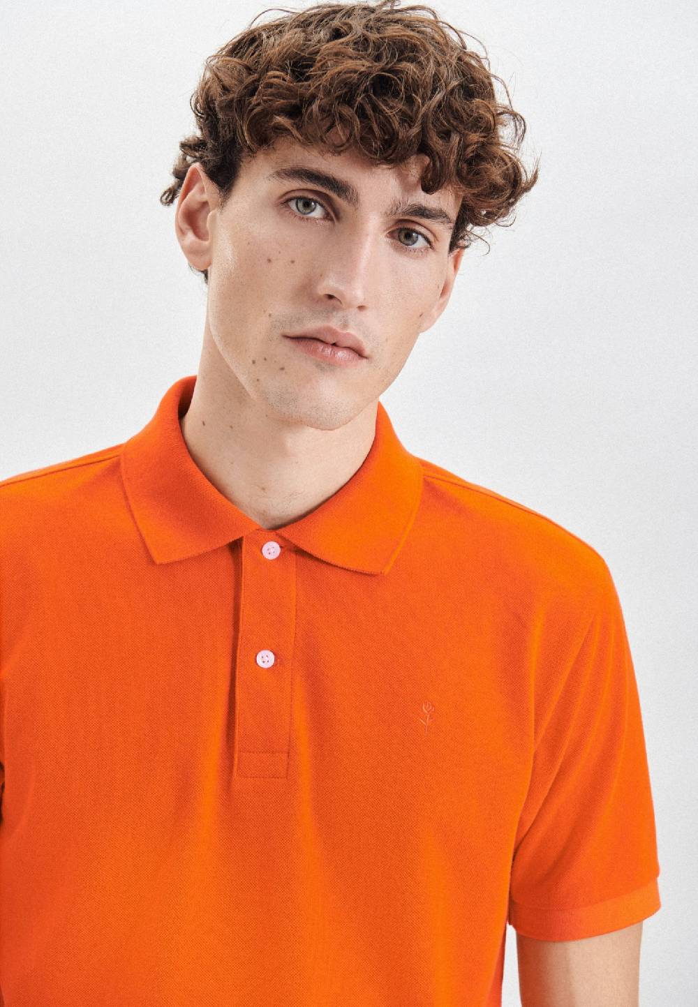 Studio Seidensticker Kragen Polo Regular