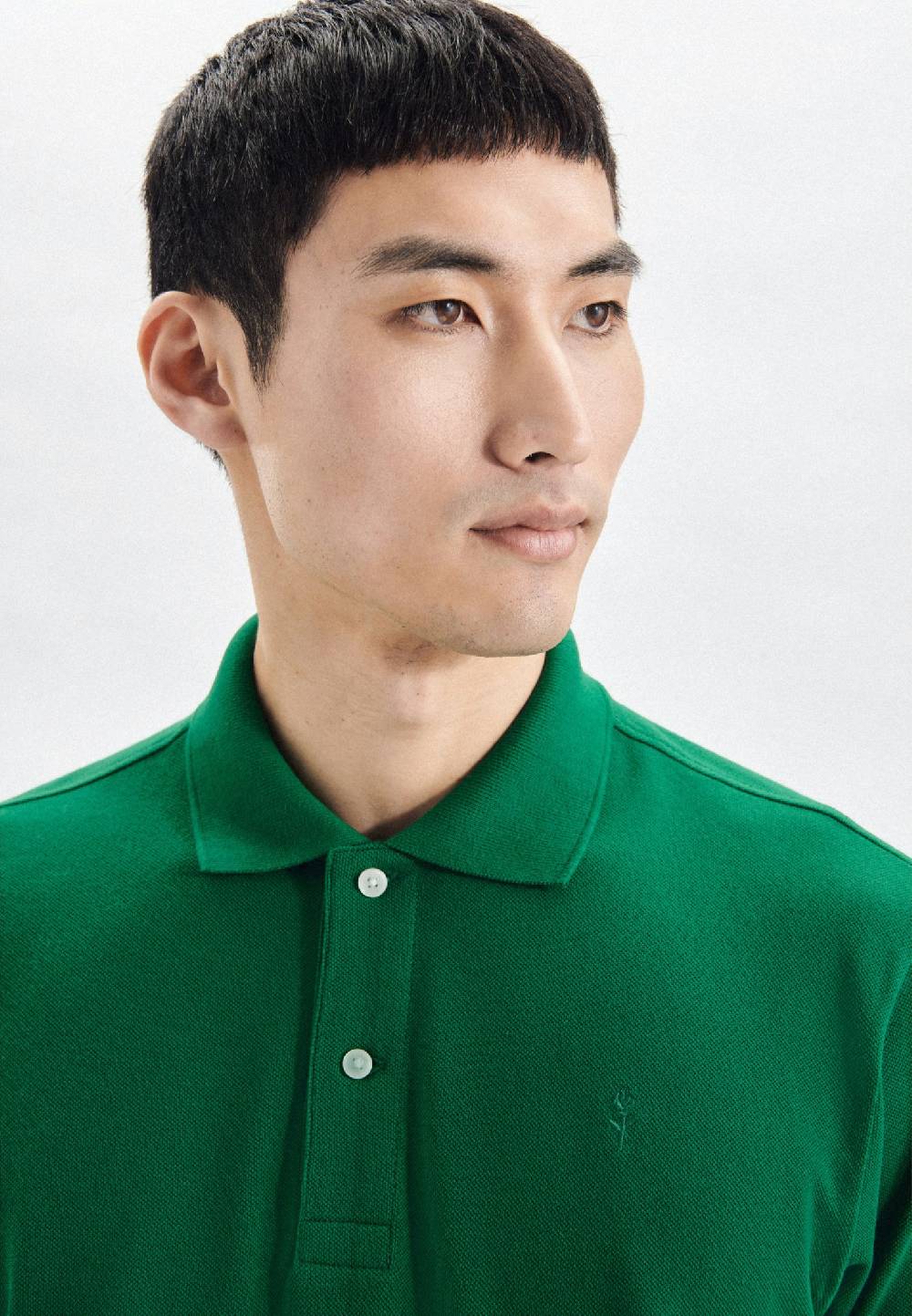 Studio Seidensticker Kragen Polo Regular