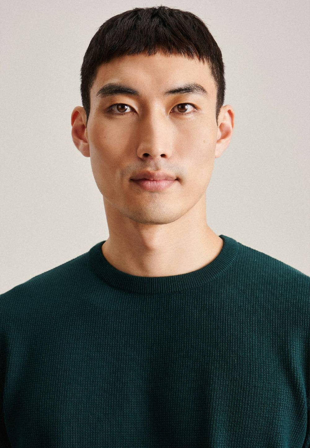 Studio Seidensticker Rundhals Pullover Regular