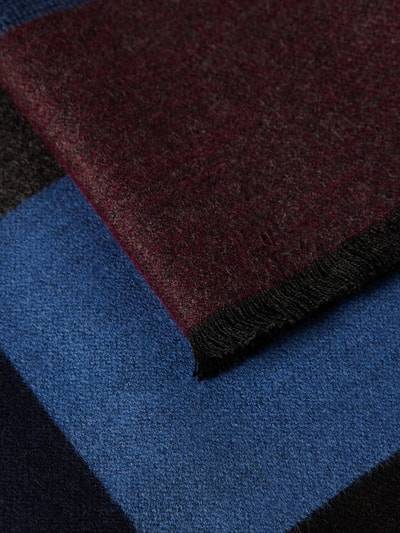 Peek & Cloppenburg Christian Berg MenSchal Aus Viskose Mit Fransen In Bordeaux