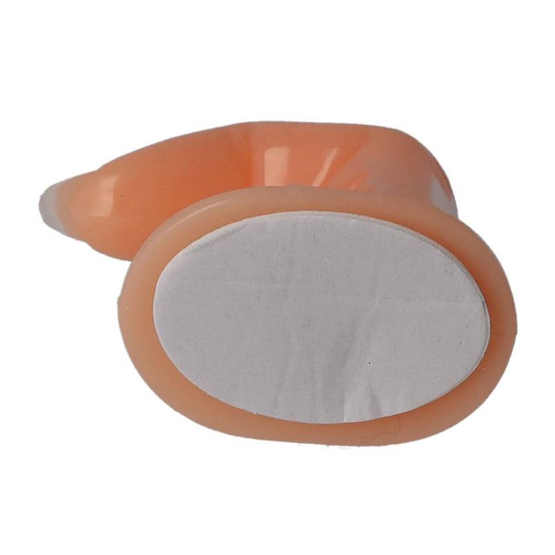 Sun Garden Nails Übungsfinger Für Tips Und Schablone