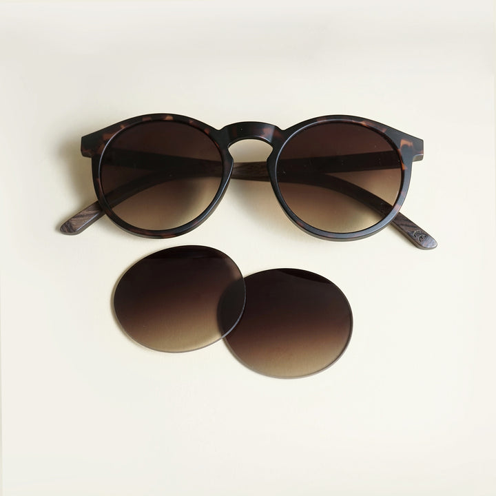 Take A Shot Ersatzgläser-Set für unsere Emma Sonnenbrille - Braunverlauf